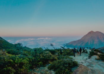 5 Conseils pour Planifier le Voyage Parfait en Senegal