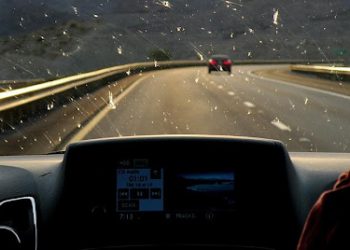 La Meilleure Façon de Nettoyer les Insectes de Votre Pare-brise au Sénégal