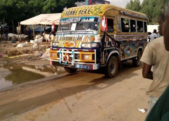 Striving for Safer Roads in Senegal: A Vital Priority for Public Health