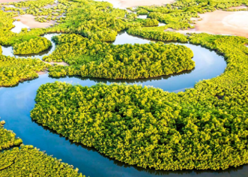 Activités à Faire au Sénégal
