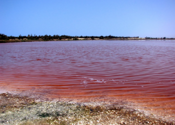 Activités à Faire au Sénégal