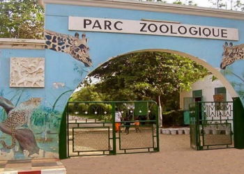 Activités à Faire au Sénégal