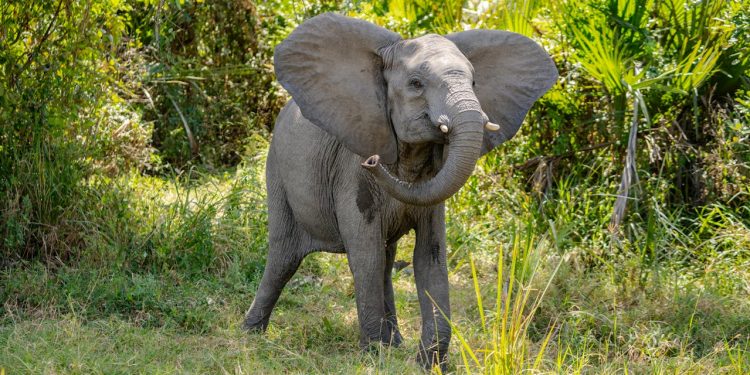 Découvrez le Sénégal : 7 Lieux Incontournables à Visiter en Voiture