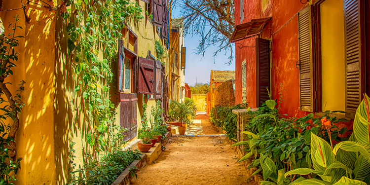 Explorer Dakar et au-delà : Les plus belles routes panoramiques à conduire au Sénégal