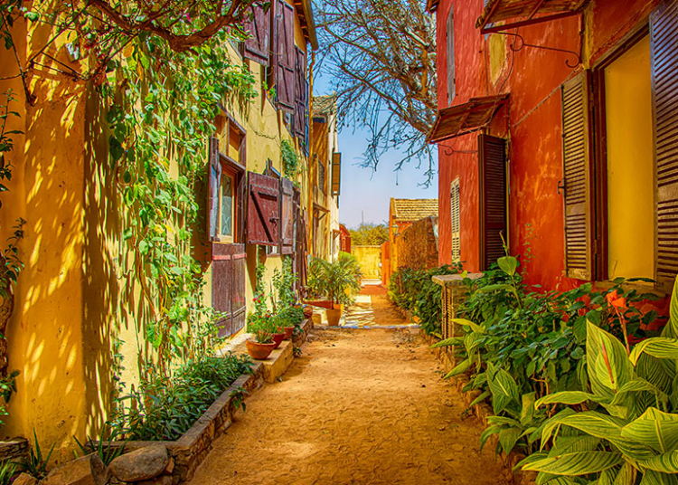 Explorer Dakar et au-delà : Les plus belles routes panoramiques à conduire au Sénégal