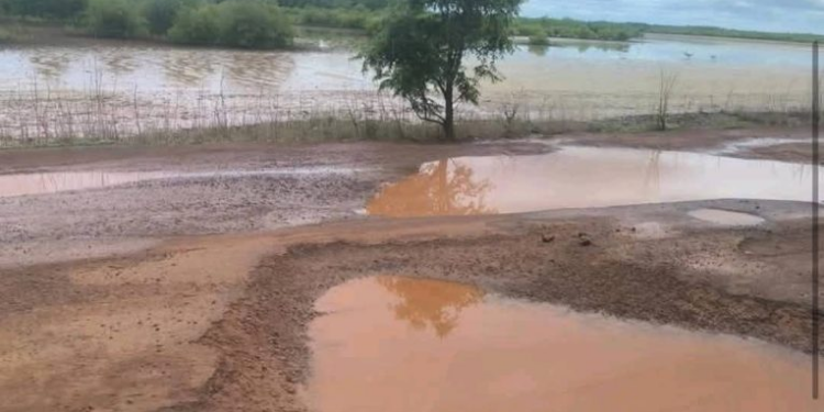 Réparations Rapides de la Suspension Après la Saison des Pluies en Casamance, Sénégal